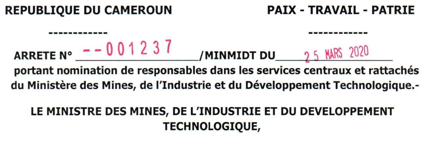 Arrêté N°001237/MINMIDT du 25 mars 2020 portant nominations dans les services rattachés